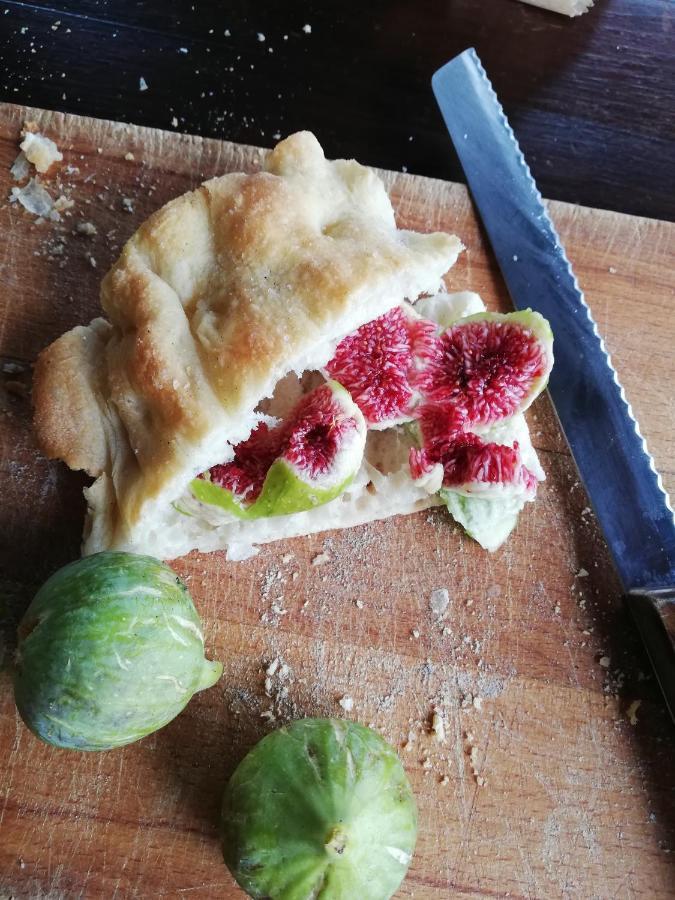 ترفيجنانو رومانو B&B Vigna Rosa المظهر الخارجي الصورة